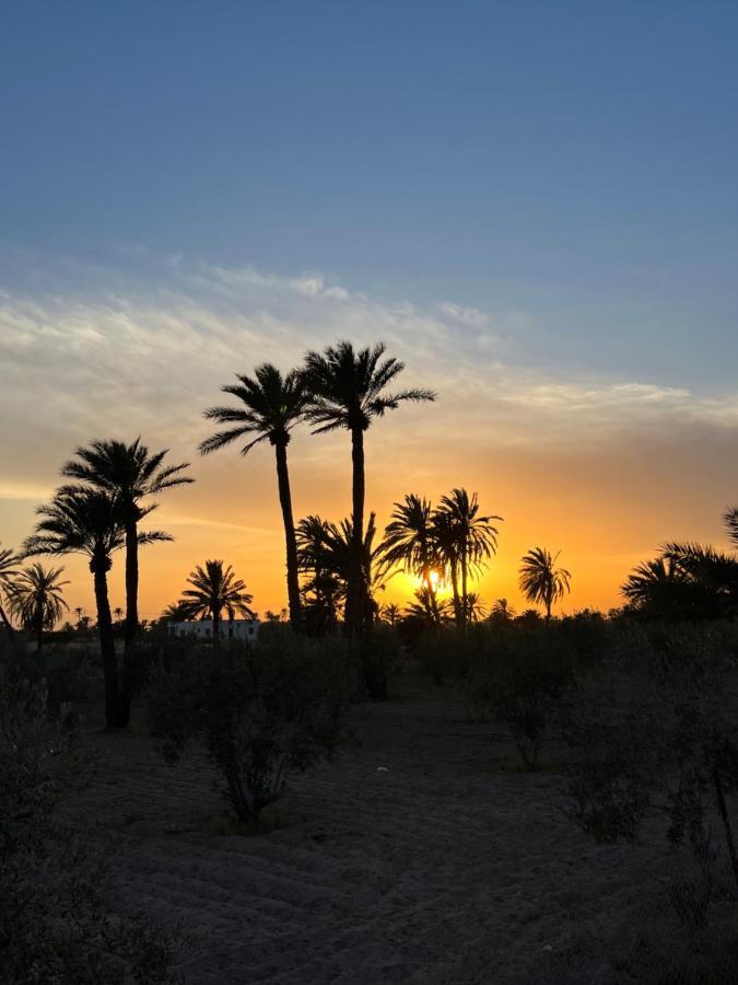 Le Domaine Djerba Villa Mezraia