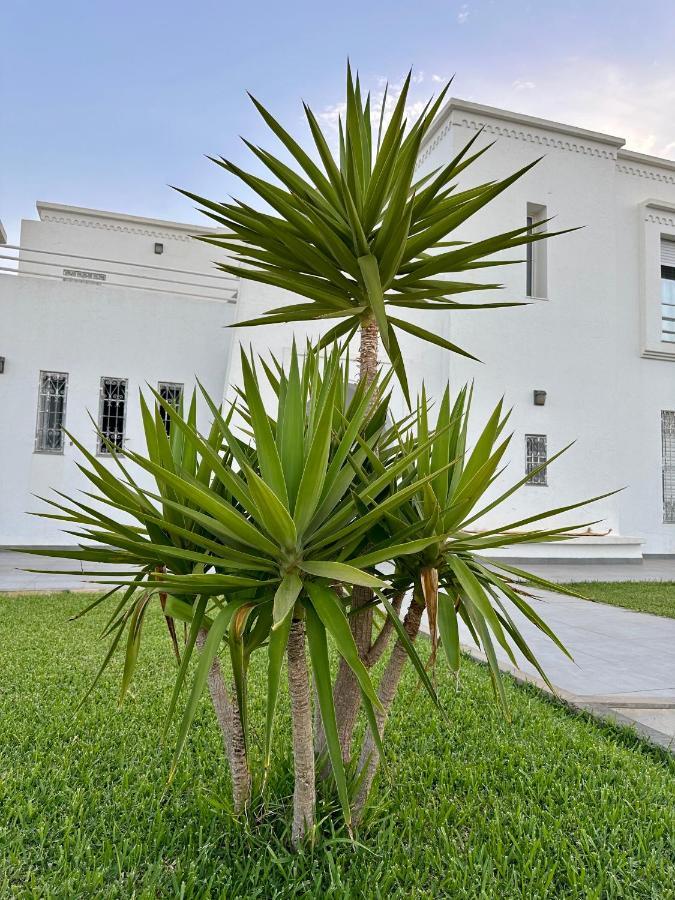 Villa Le Domaine Djerba Mezraia